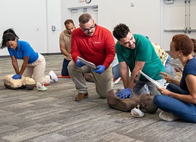 Group practicing CPR on mannequins during training.