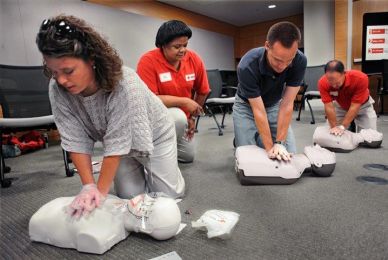 People practicing CPR on mannequins in a training session.