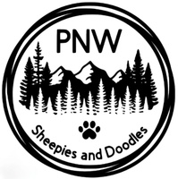 PNW Sheepies and Doodles