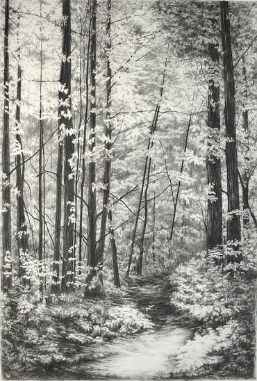 black and white landscape, charcoal drawing on bristol paper
