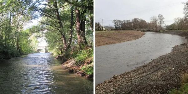 Comparison of two river scenes, one lush and shaded, the other bare and wide.