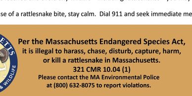 Warning about legal protection of rattlesnakes in Massachusetts.