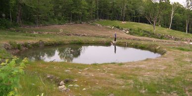 Person fishing in a small pond surrounded by greenery.