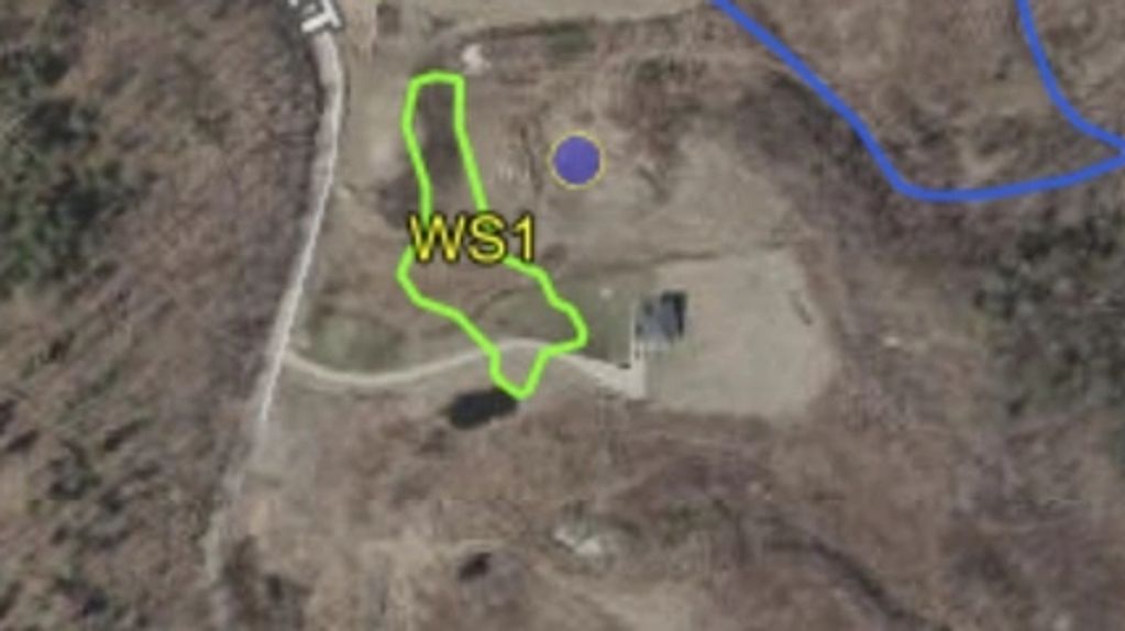 Satellite image showing an area marked WS1 outlined in green.