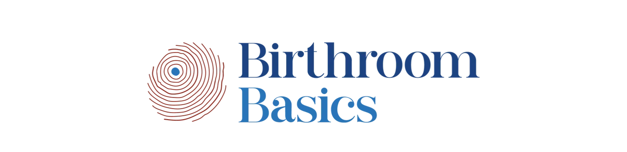 Logo of Birthroom Basics featuring a red fingerprint and blue text.