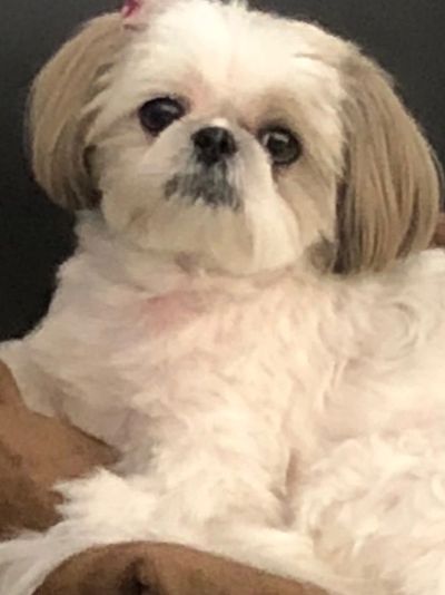 Bailey