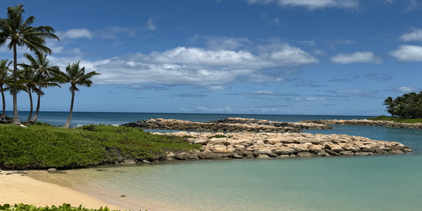 Tropical beach with palm trees, clear water, and rocky outcrops under a partly cloudy sky.