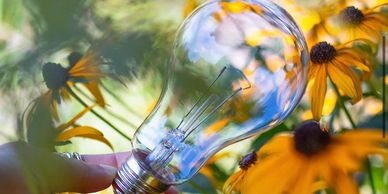 Chromalux light bulbs are healthy full-spectrum light bulbs that closely simulates natural sun. 
