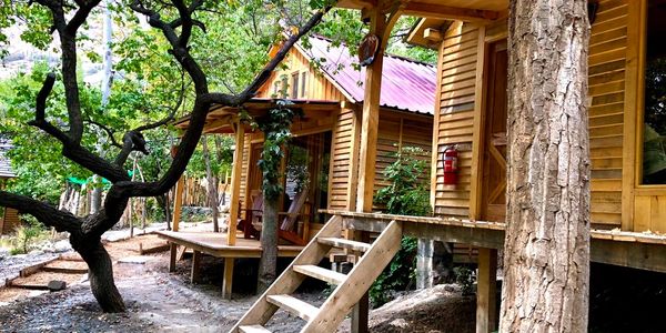 rustic wood huts