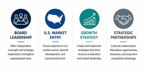 Four business strategy elements: Board Leadership, U.S. Market Entry, Growth Strategy, Strategic Partnerships.