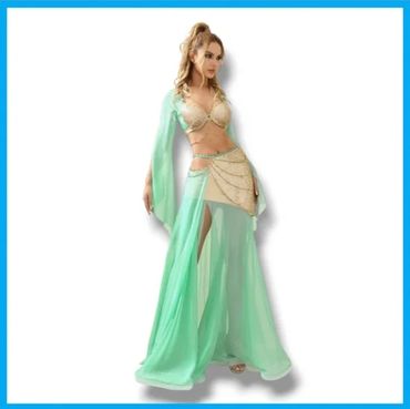 Belly Dancer Costumes for Women Sequin Belly Dance Bra Belly Dancing