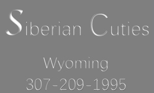 Siberian Cuties 

987-4675-0987

siberiancutties.com
