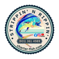 Strippin' & Rippin'          Charter Fishing