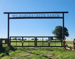 Hay Sales Elgin TX Area