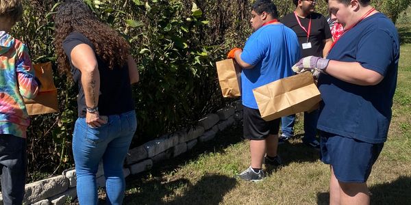 Group of people picking fruit and holding brown paper bags outdoors.