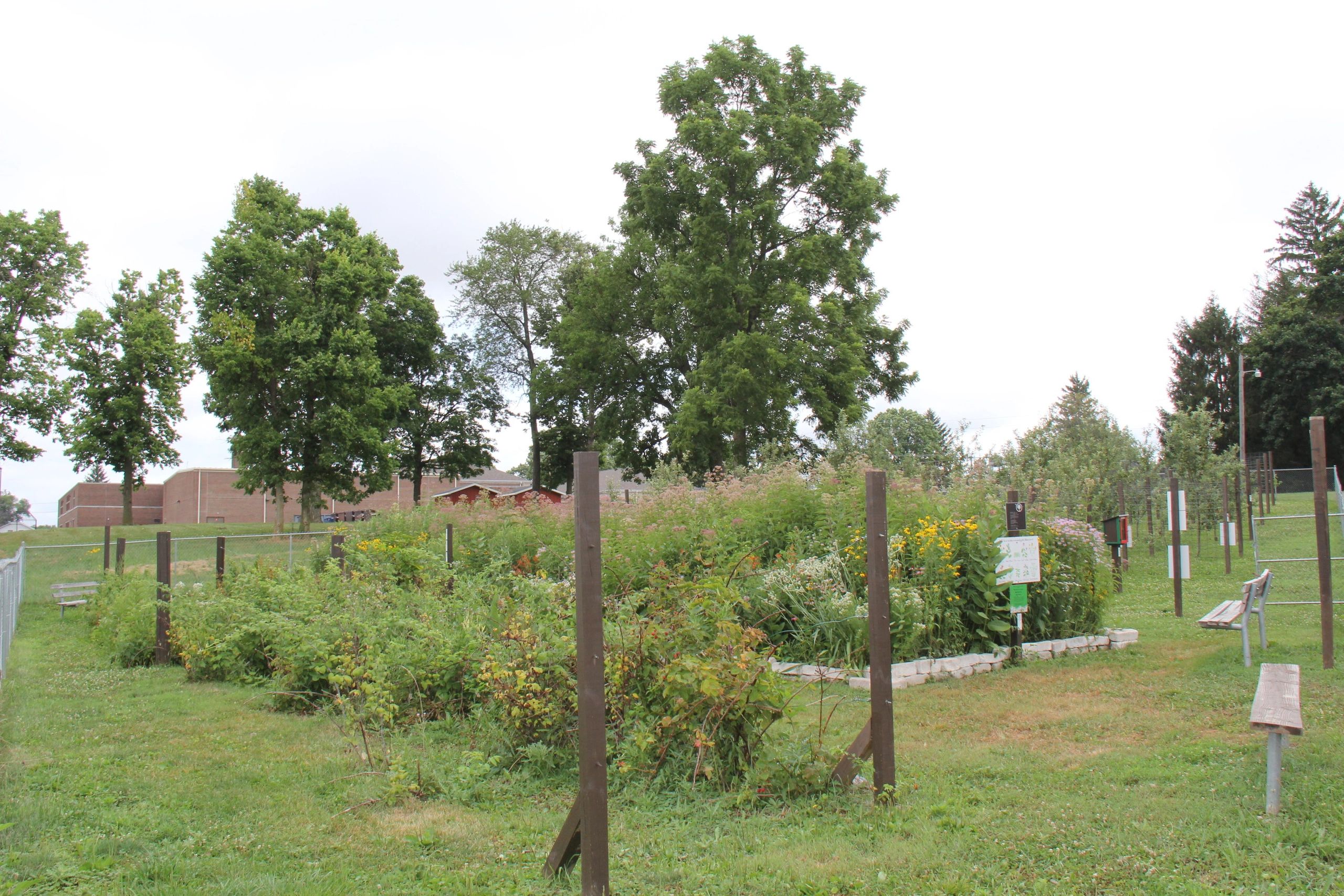 Community garden with various plants and benches under cloudy sky.