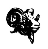 Big Horn Property Services Ltd.