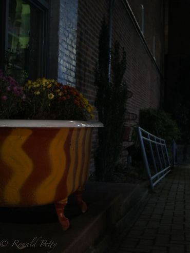 Vintage clawfoot bathtub repurposed as a flower pot outside a building at night.
