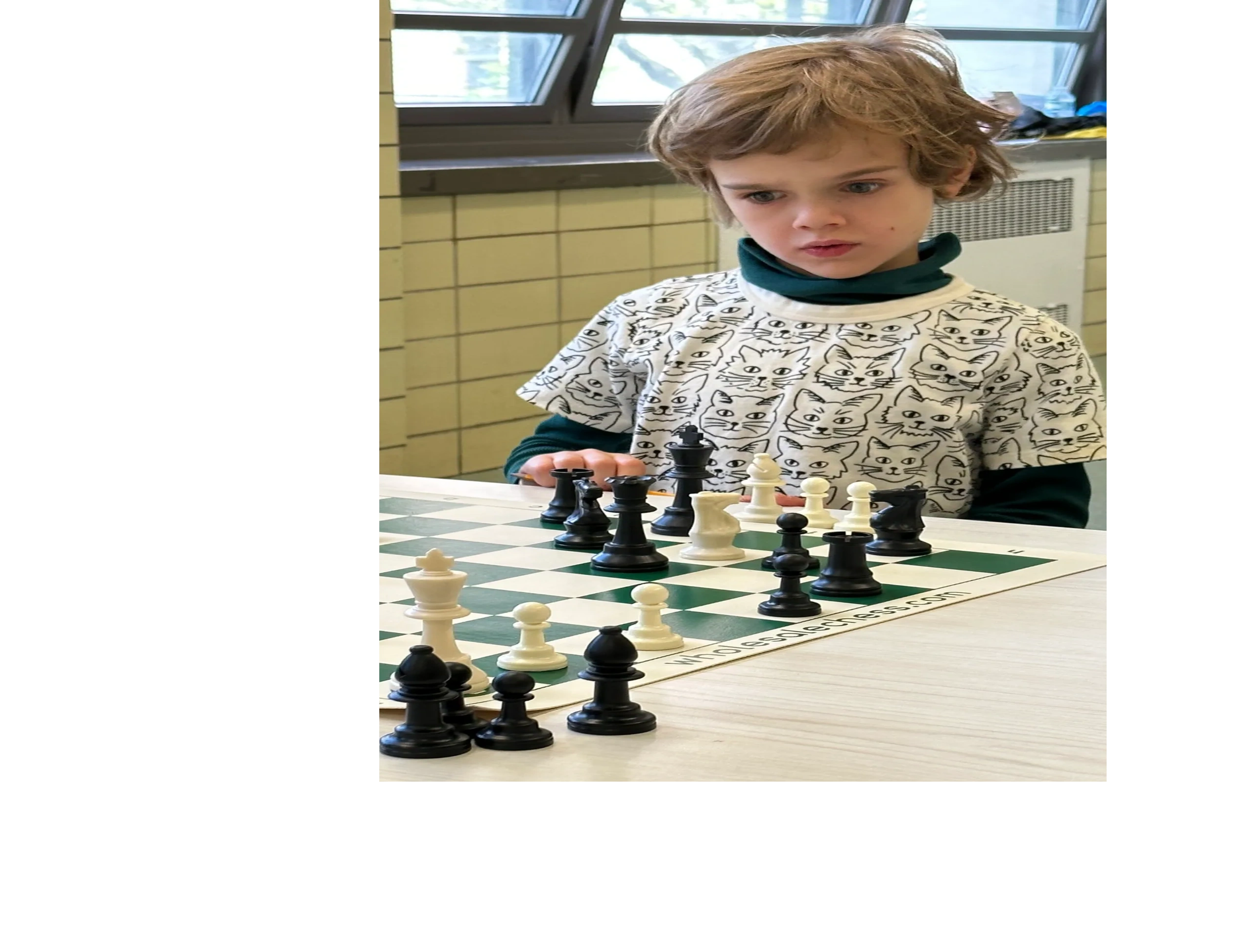 25 Chess events in Brooklyn, Today and Upcoming chess events in Brooklyn