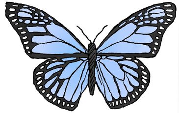 blue butterfly