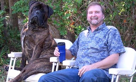 Brindle Bullmastiffs Home | Brindle Bullmastiffs