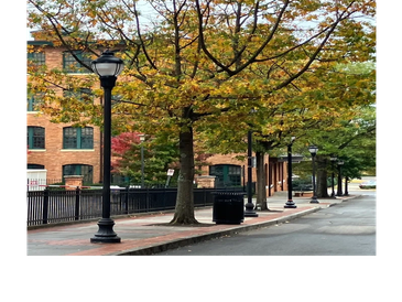 Downtown Greenville SC