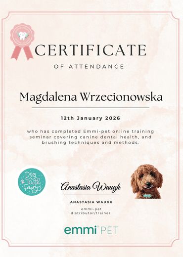 Certificate of attendance for Magdalena Wrzecionowska in canine dental health training.