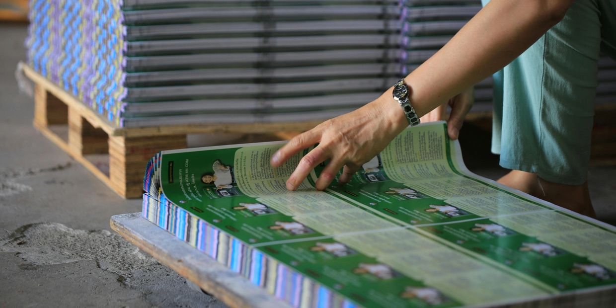 Mass produced brochures sitting on a wooden pallet.