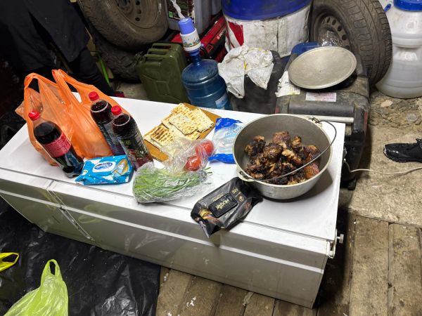 Grilled meat and groceries on freezer.
