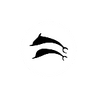dolphins img