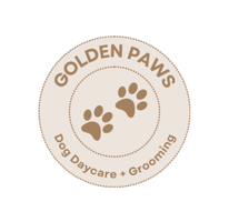 Golden Paws Dog Daycare and Grooming 
