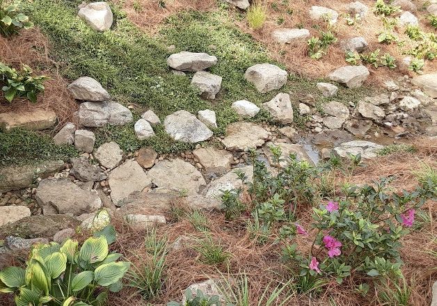 How to Landscape a Steep Slope on a Budget