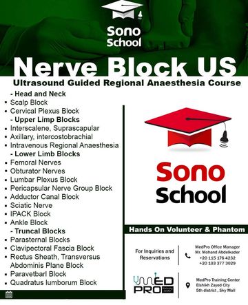 nerve block us ultrasound guided regional anesthesia course