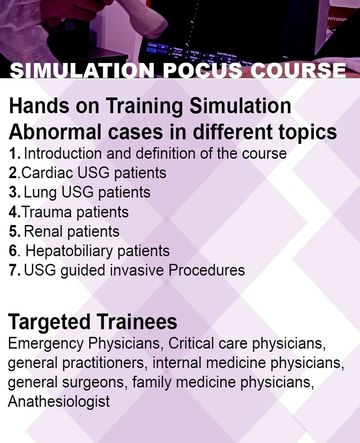simulation pocus course