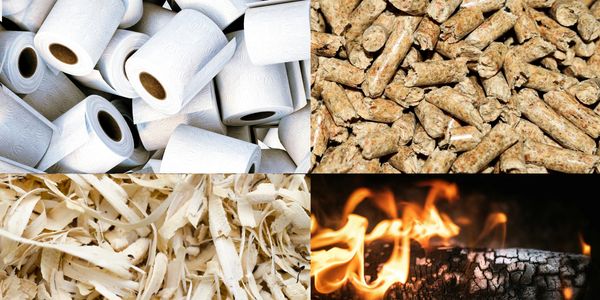 BIOMASS FROM BAMBOO