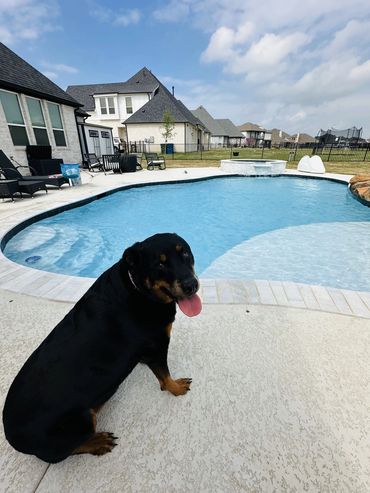 pool maintenance companies near me