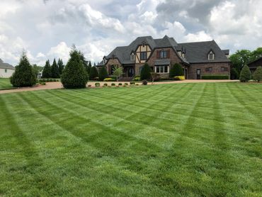 Lawn maintenance