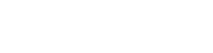 the social inertia