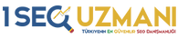 1 SEO Uzmanı