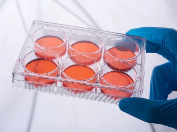 CellATTACH® Cell and Tissue Plates, 6 Well, Sterile, Case of 100