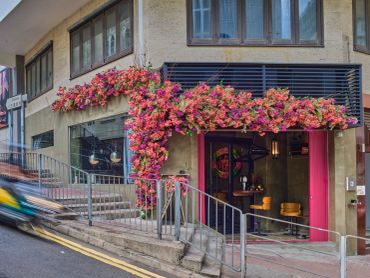 Building entrance adorned with vibrant pink flowers.