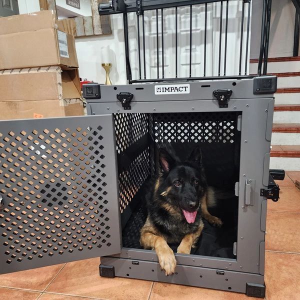 Impact Dog Crate discount 