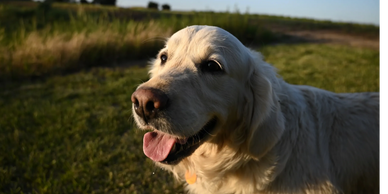 Mya at Abbey Acres