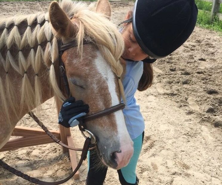 Pony with braided hair with little girl hugging her at horse camp