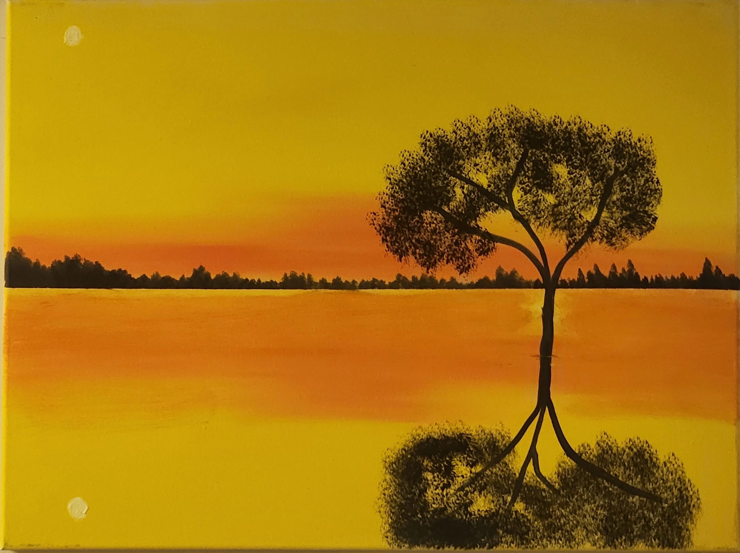 Sunset Lake Tree Landscape 
