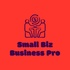Small Biz Business Pro