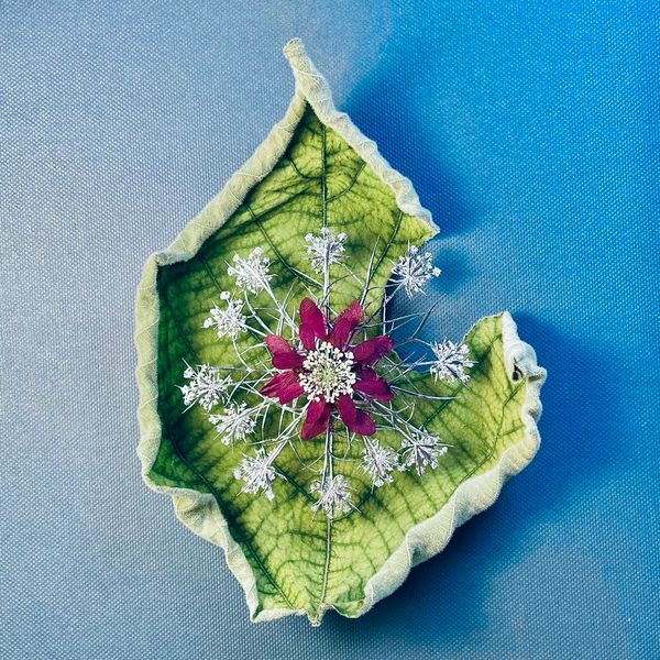 Art with pressed leaves and pressed flowers
