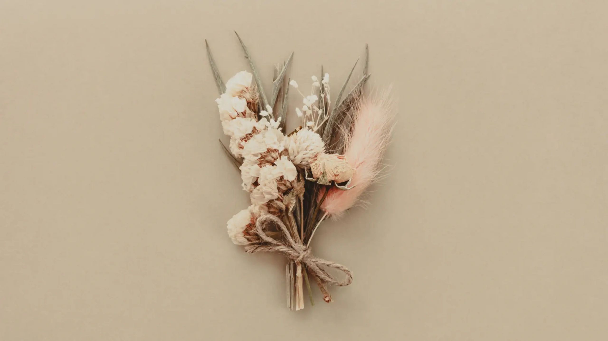 Norfolk Florist