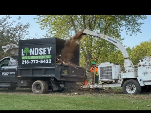 A wood chipper loading debris into a Lindsey Tree &amp; Stump Removal truck.