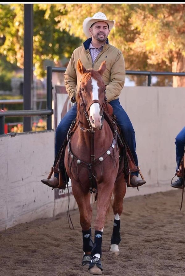 Man in cowboy hat riding a chestnut horse inside an arena.